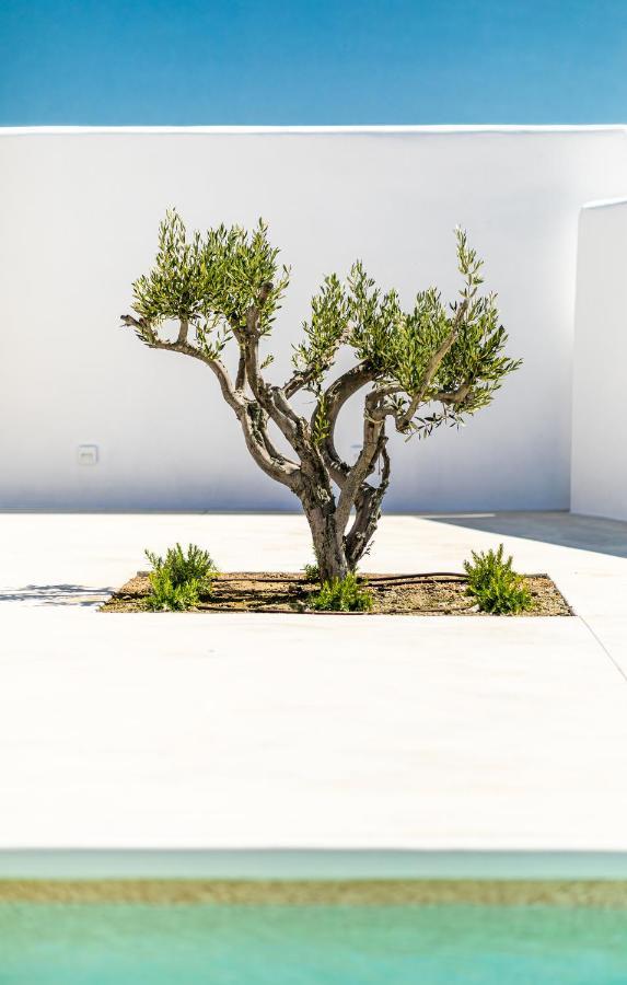 Villa Petradia